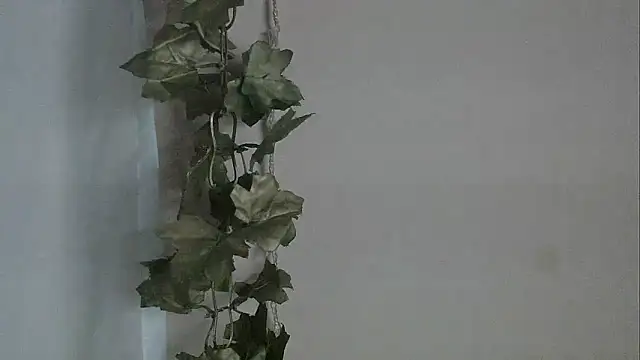 Snapshot of angelainparis28 chatting on December 2, 5:02 am angelainparis28 online show from December 2, 5:02 am