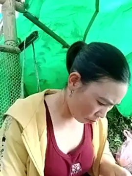 Snapshot of cicnci chatting on November 5, 1:38 am cicnci online show from November 5, 1:38 am