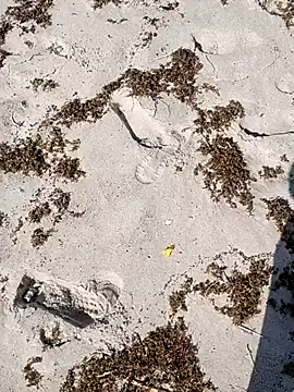 sarahkat86 online show from October 4, 2:37 pm