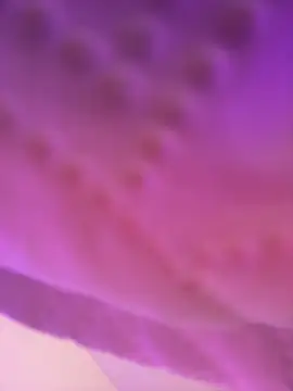 Snapshot of AmberMoss1 chatting on November 27, 8:11 pm AmberMoss1 online show from November 27, 8:11 pm