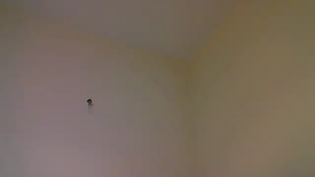 str8matesirishoz online show from October 15, 4:01 am