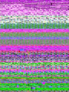 Snapshot of pnwzo chatting on October 3, 8:28 pm pnwzo online show from October 3, 8:28 pm