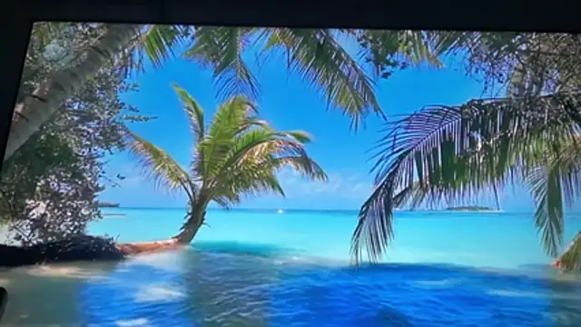 Bon-Nii online show from June 10, 7:02 pm