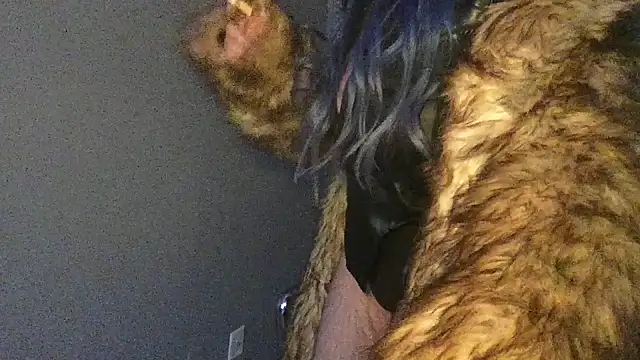 Snapshot of Stevey5894 chatting on November 30, 5:28 pm Stevey5894 online show from November 30, 5:28 pm