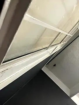 Emily Rivers  online show from January 14, 1:17 pm