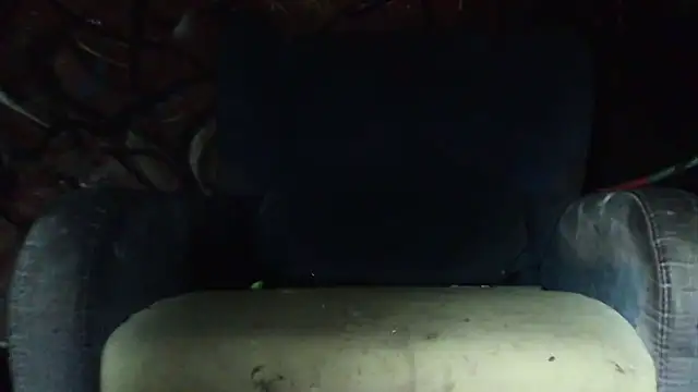 Snapshot of lovehairymature90 chatting on October 15, 3:50 am lovehairymature90 online show from October 15, 3:50 am