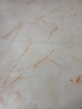 Snapshot of Samantaapu chatting on November 16, 2:00 pm Samantaapu online show from November 16, 2:00 pm