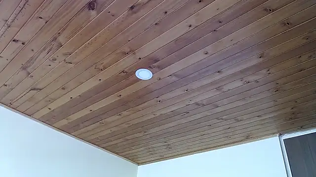 IVONNE COLLINS33 online show from September 21, 2:19 pm