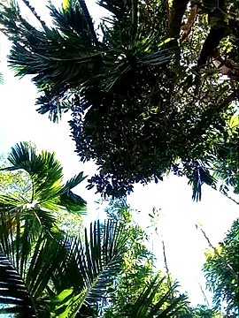 Snapshot of Johlrd chatting on November 19, 5:18 am Johlrd online show from November 19, 5:18 am