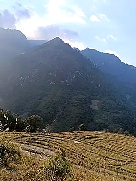 MuiNay online show from November 24, 9:09 am