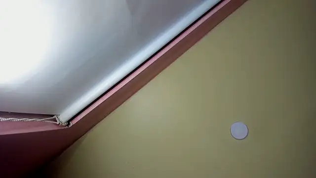 StarletTays online show from November 28, 9:50 pm