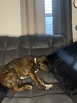 StableQuakers online show from March 12, 12:22 pm