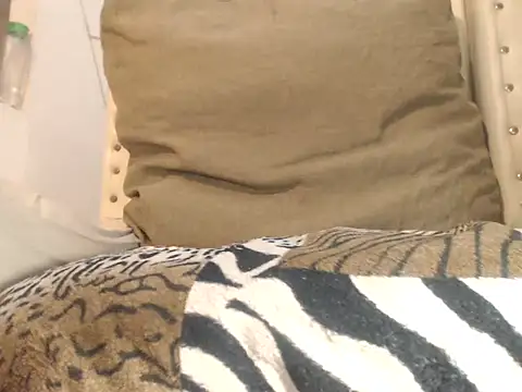 Snapshot of HOLYcummerTS chatting on December 2, 8:08 am HOLYcummerTS online show from December 2, 8:08 am