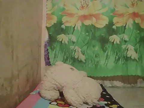 sexymorenal18 online show from September 27, 1:38 pm