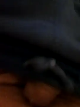 pegaso369 online show from October 25, 11:43 pm