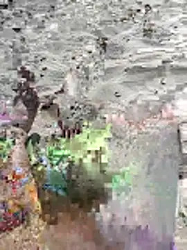 pegaso369 online show from June 16, 2:52 pm