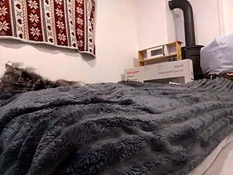 HoneySquirrel online show from October 10, 5:23 pm