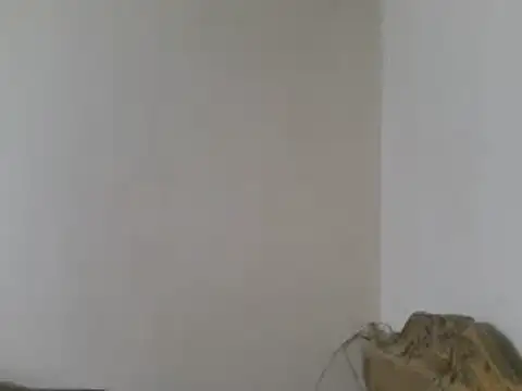 elpoop7305 online show from March 15, 8:48 pm