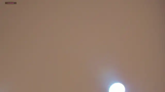 CharlotteBrownn  online show from June 6, 11:31 pm
