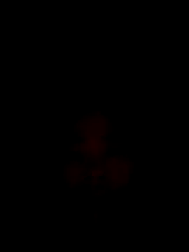 CoMay003 online show from December 15, 12:15 am