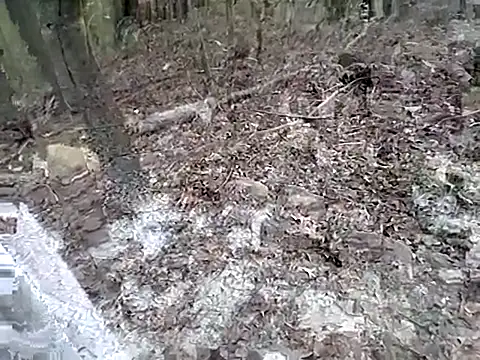 Snapshot of fischnet chatting on September 20, 10:55 pm fischnet online show from September 20, 10:55 pm