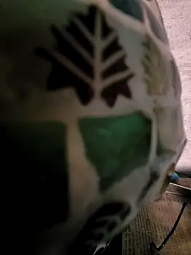 Snapshot of princexdcs chatting on February 6, 4:39 am princexdcs online show from February 6, 4:39 am