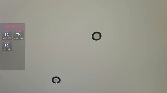 Snapshot of Lunainnk chatting on December 23, 2:42 am Lunainnk online show from December 23, 2:42 am