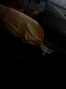 Snapshot of whitelady15 chatting on December 20, 6:26 pm whitelady15 online show from December 20, 6:26 pm