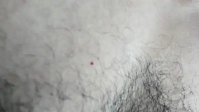 latinhotmuscle online show from October 31, 3:18 am