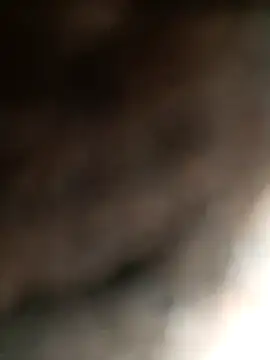 Snapshot of Hat-Raja77 chatting on November 4, 4:33 am Hat-Raja77 online show from November 4, 4:33 am