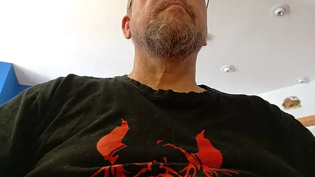 circus bearxh online show from June 18, 8:47 am