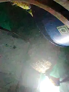 Sexi savita online show from September 28, 10:04 pm