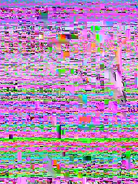 Rouse69  online show from November 14, 1:32 pm