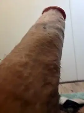 Snapshot of BooBooKittyFuhck chatting on October 9, 10:52 pm BooBooKittyFuhck online show from October 9, 10:52 pm