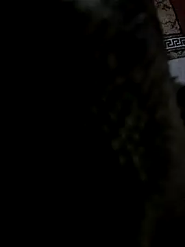 Snapshot of Lawrence067 chatting on October 6, 7:00 pm Lawrence067 online show from October 6, 7:00 pm