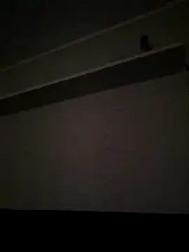 Snapshot of NibbleSweetie chatting on December 13, 8:47 pm NibbleSweetie online show from December 13, 8:47 pm