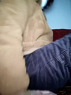 July-Asian online show from January 6, 10:56 pm