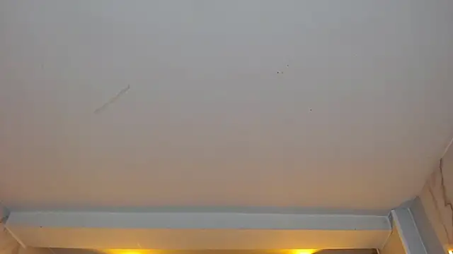 Snapshot of dania_b_ chatting on October 19, 3:07 am dania b online show from October 19, 3:07 am