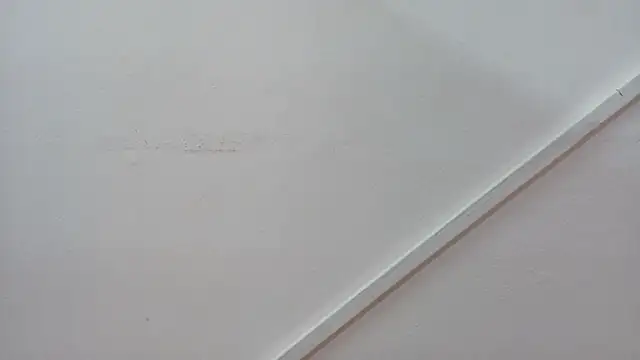 Snapshot of Lizbeth_Rouse chatting on October 26, 12:55 pm Lizbeth Rouse online show from October 26, 12:55 pm