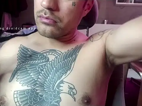 parca13 online show from November 26, 3:40 am