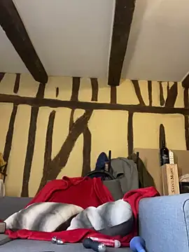 Snapshot of Toto-pika chatting on March 4, 7:47 am Toto-pika online show from March 4, 7:47 am