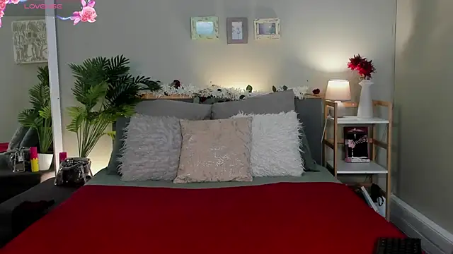 HotStellaaa online show from November 27, 8:38 am