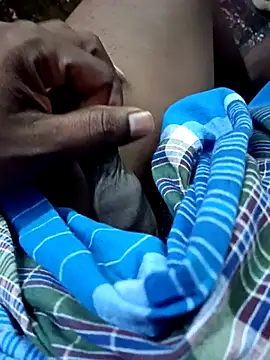 dolphiinn online show from November 22, 1:37 am