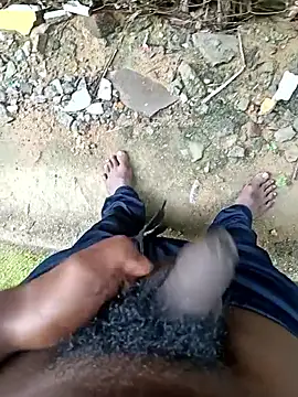 dolphiinn online show from December 17, 4:51 am