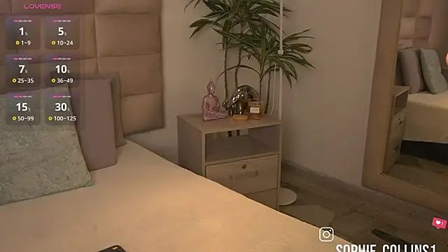 SophieCollins 1 online show from July 2, 12:00 pm