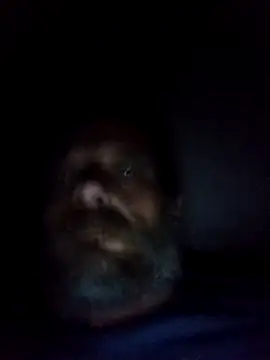 Snapshot of Potch8duim chatting on October 6, 7:55 pm Potch8duim online show from October 6, 7:55 pm