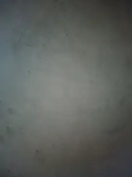 milo123-xx online show from June 15, 3:20 am
