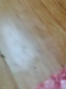 Snapshot of Markroco696 chatting on October 18, 2:58 am Markroco696 online show from October 18, 2:58 am