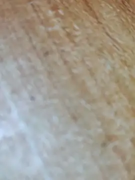 Snapshot of Markroco696 chatting on November 17, 5:02 am Markroco696 online show from November 17, 5:02 am