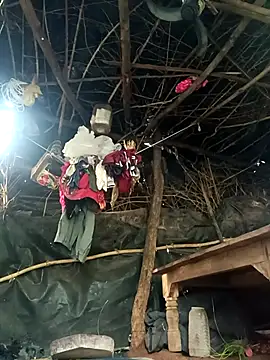 cute diya 12 online show from November 5, 2:22 am